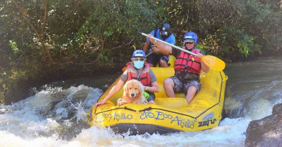 mini-rafting-com-pet (1)